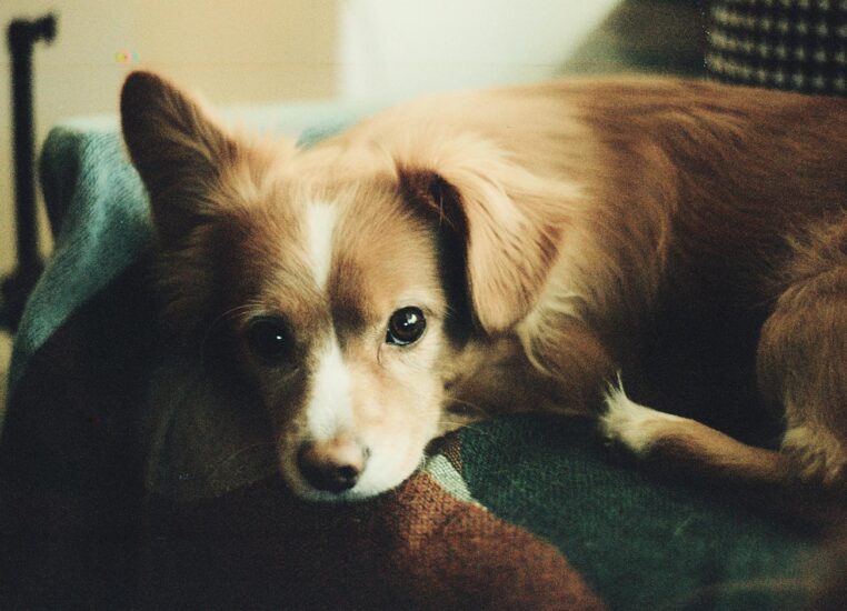 D1B7EAEB 70D5 46BF AA3E F5A252B71E16 1800x1800