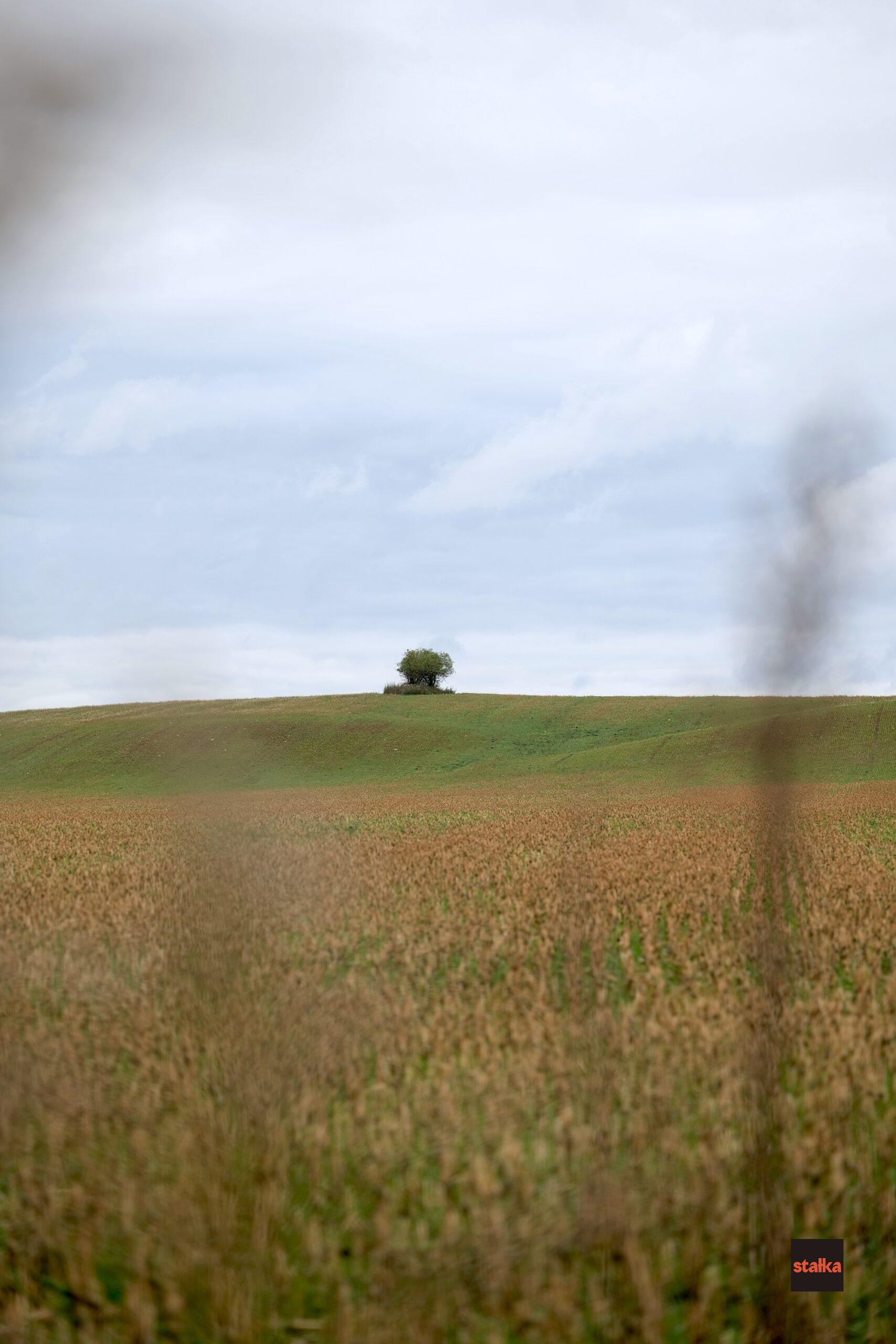 Spędziłem weekend z Sigmą A 28-105 f2.8 DG DN 7 P1085544 1 scaled