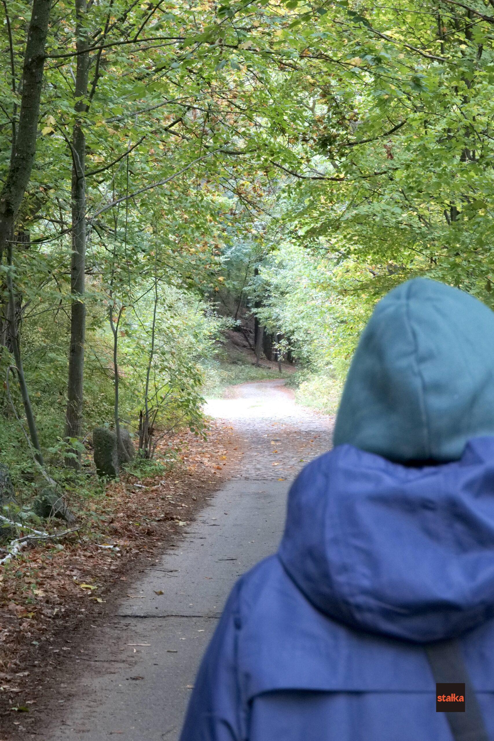 Spędziłem weekend z Sigmą A 28-105 f2.8 DG DN 9 P1085546 1 scaled