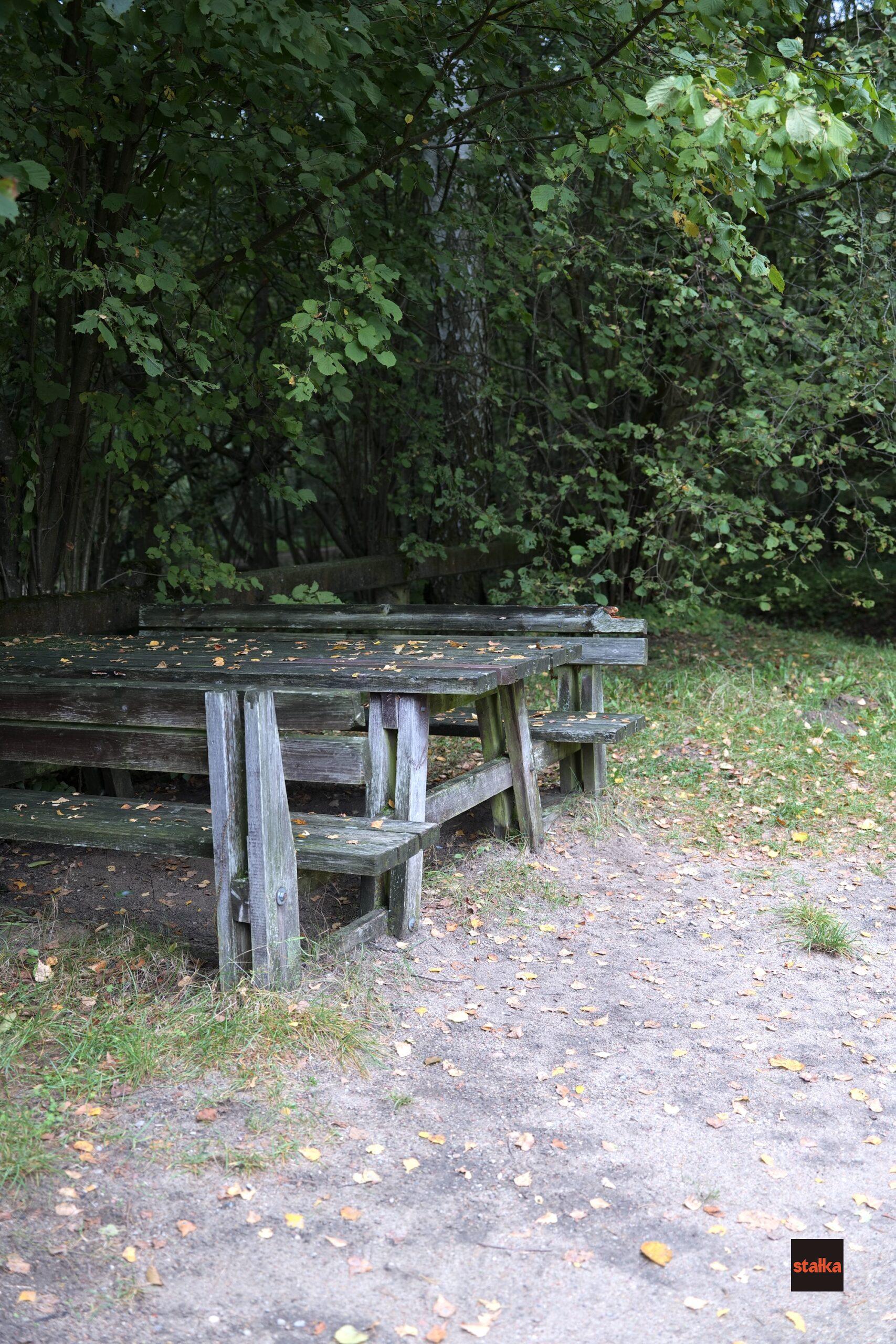 Spędziłem weekend z Sigmą A 28-105 f2.8 DG DN 12 P1085580 1 scaled