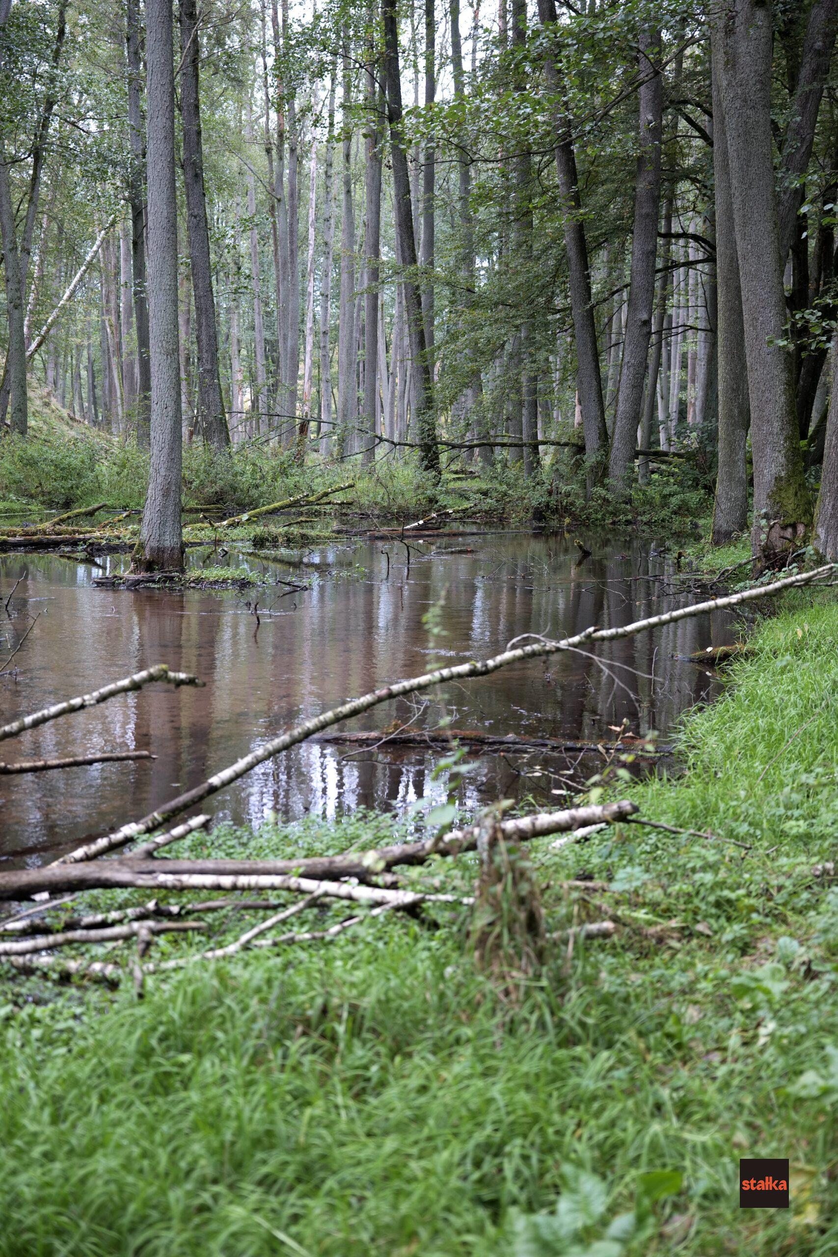 Spędziłem weekend z Sigmą A 28-105 f2.8 DG DN 14 P1085588 1 scaled