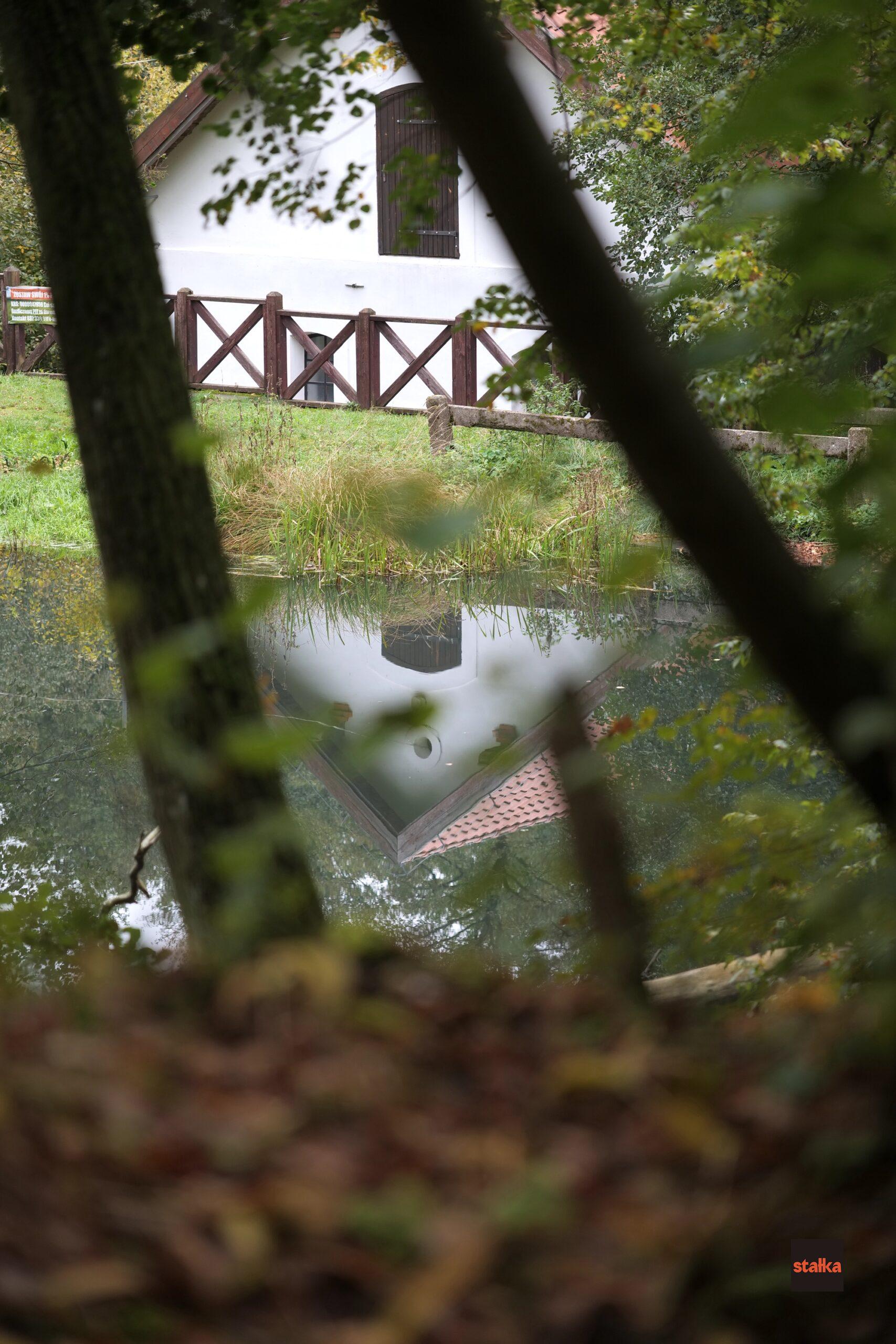 Spędziłem weekend z Sigmą A 28-105 f2.8 DG DN 17 P1085596 1 scaled