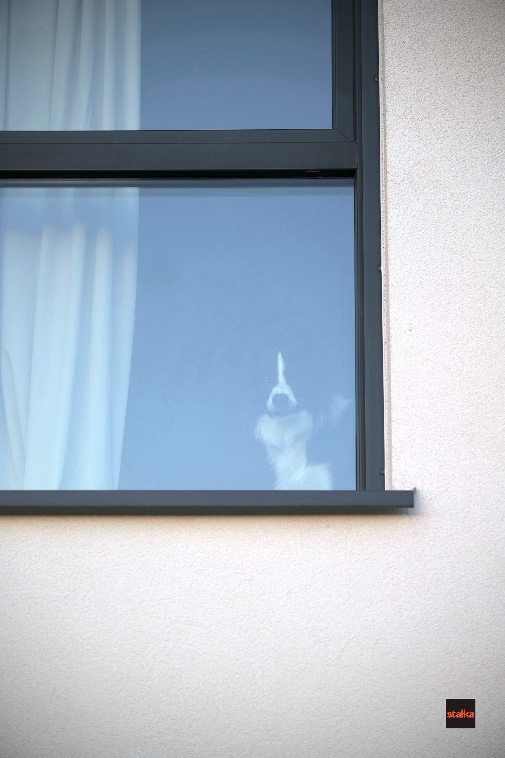 Spędziłem weekend z Sigmą A 28-105 f2.8 DG DN 6 P1085659 scaled