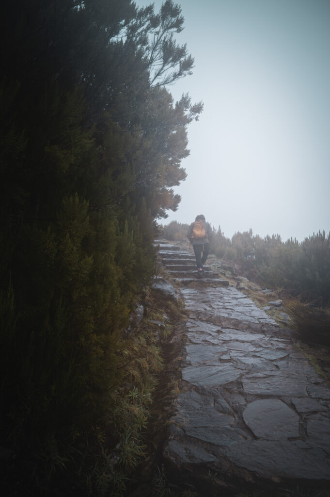 SDIM0504