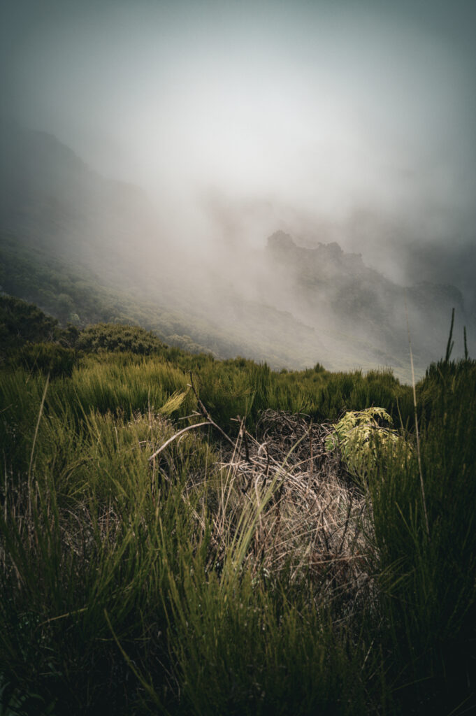 SDIM0540