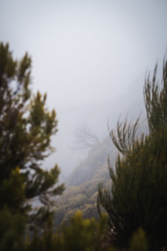 SDIM0554