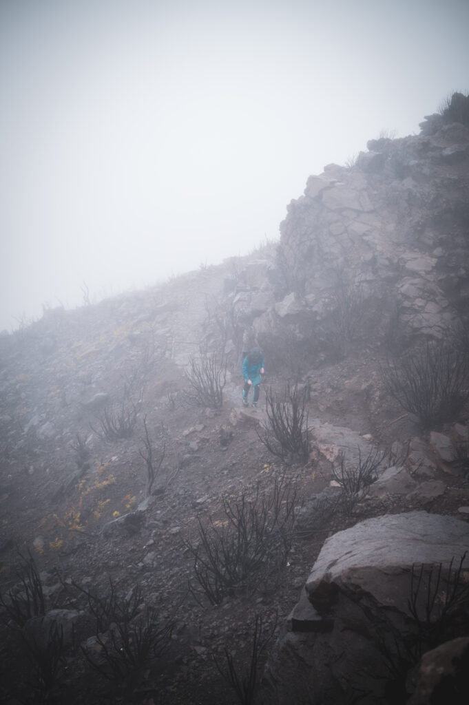 SDIM0569