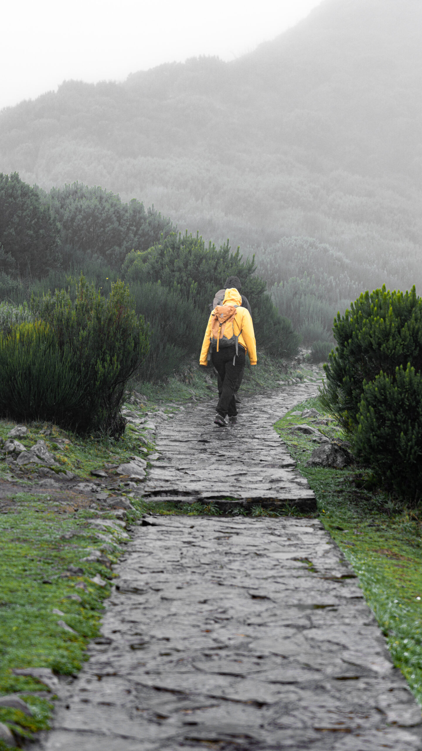 konkurs ostatni 1 scaled