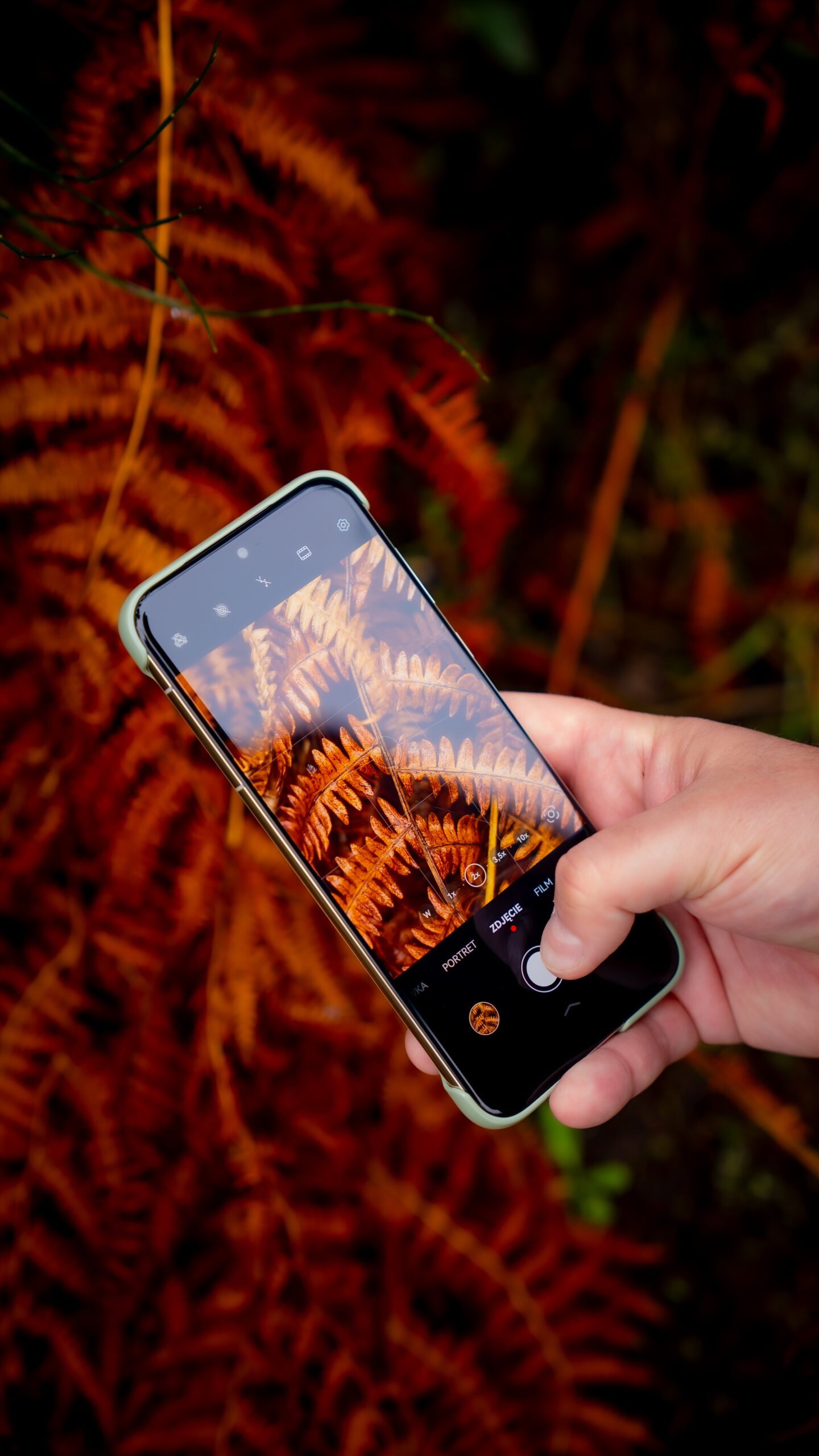 konkurs ostatni 8 scaled