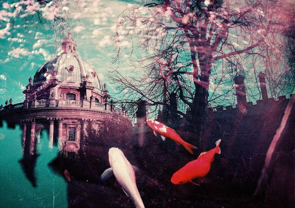 @ihave2pillows oxford