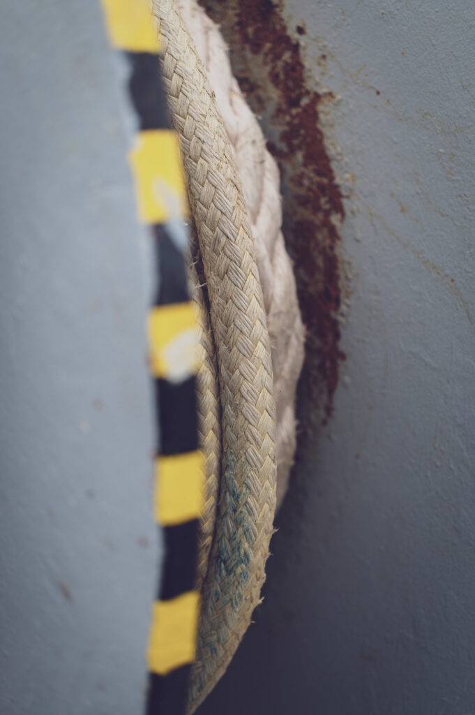 SDIM0137 2 4