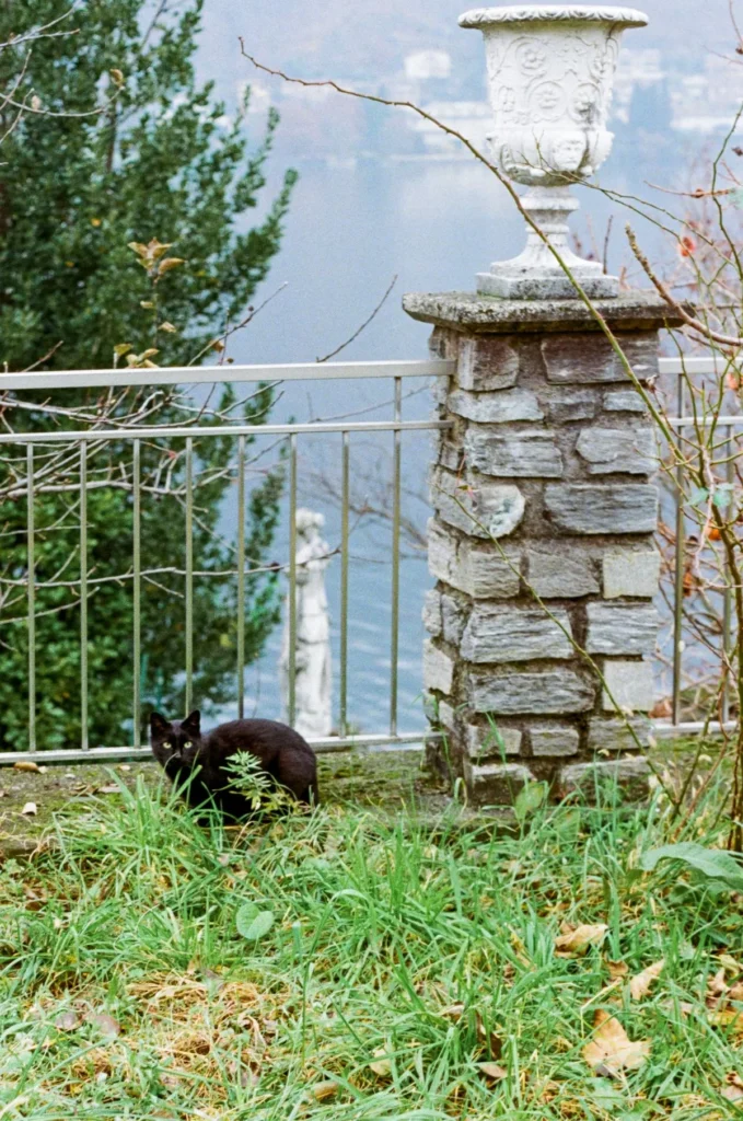 FlicFilmApollo18 35mmFilm SampleImage4Chiaradi Stefano.jpg 3