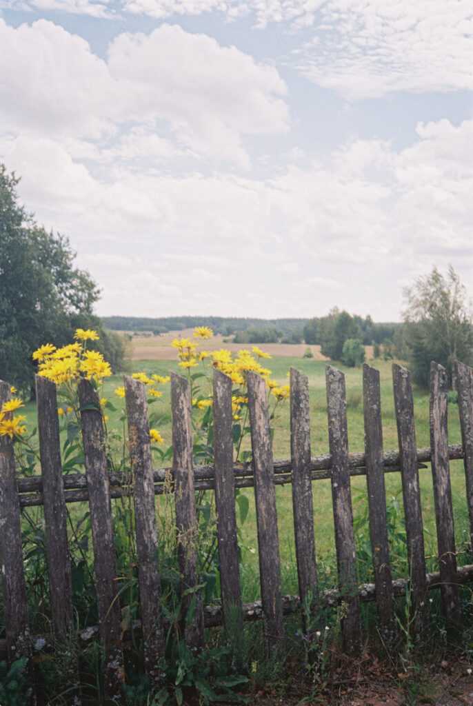 Oto mój ulubiony film 35mm tych wakacji - Poznajcie Street Candy Street Savvy 28 000069 1