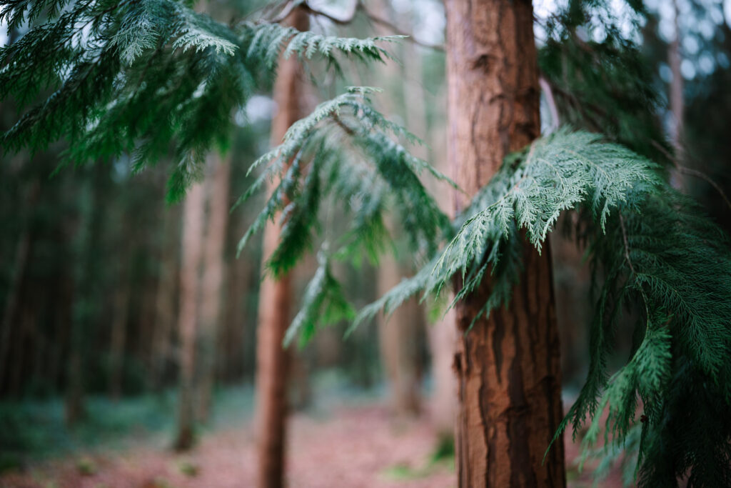 Sigma 35mm F1.2 DG II | Art – mniejszy i lepszy następca lubianego obiektywu 11 07. Fot. Abigail Steed