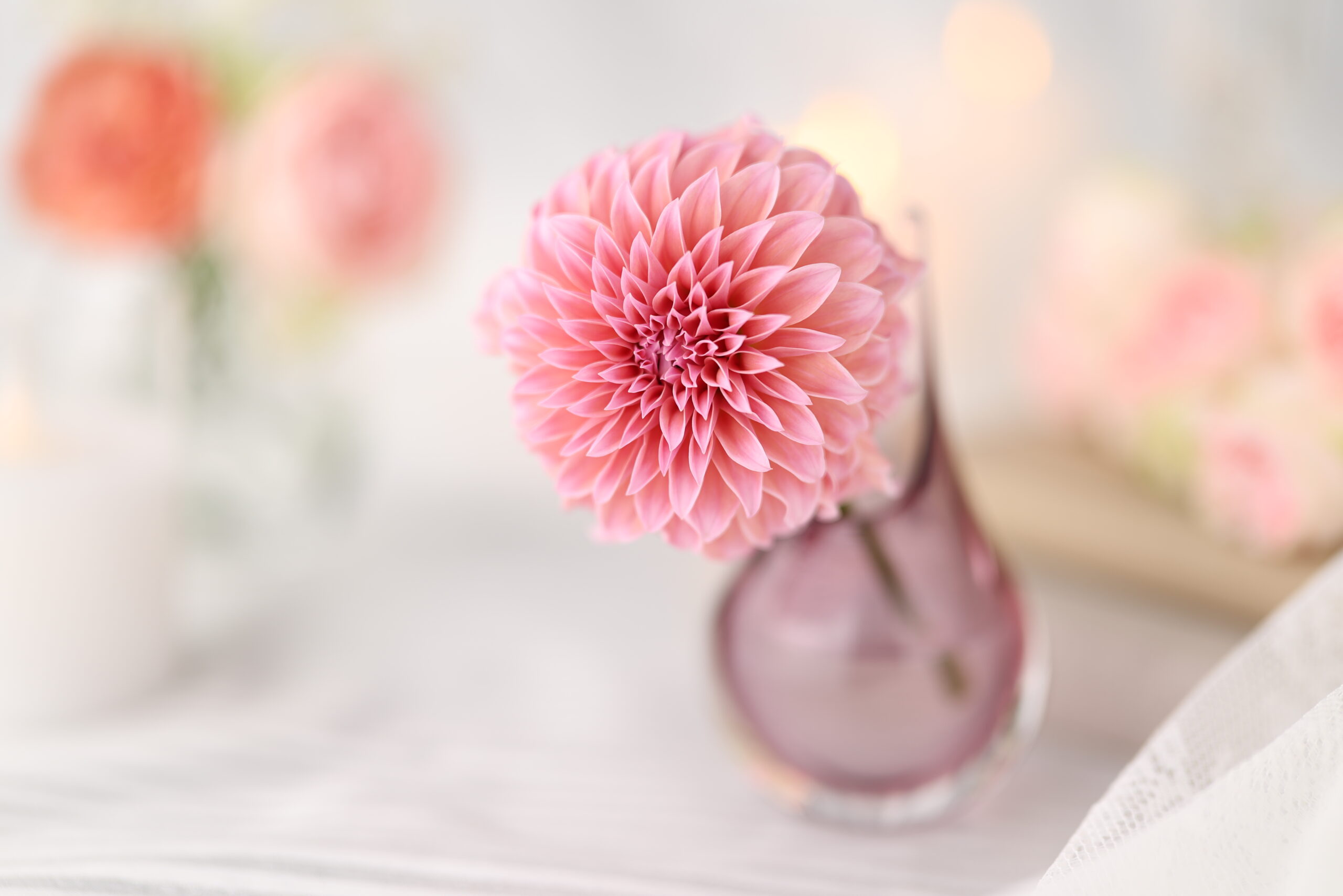 Canon RF 85MM F1.4L VCM 3 scaled