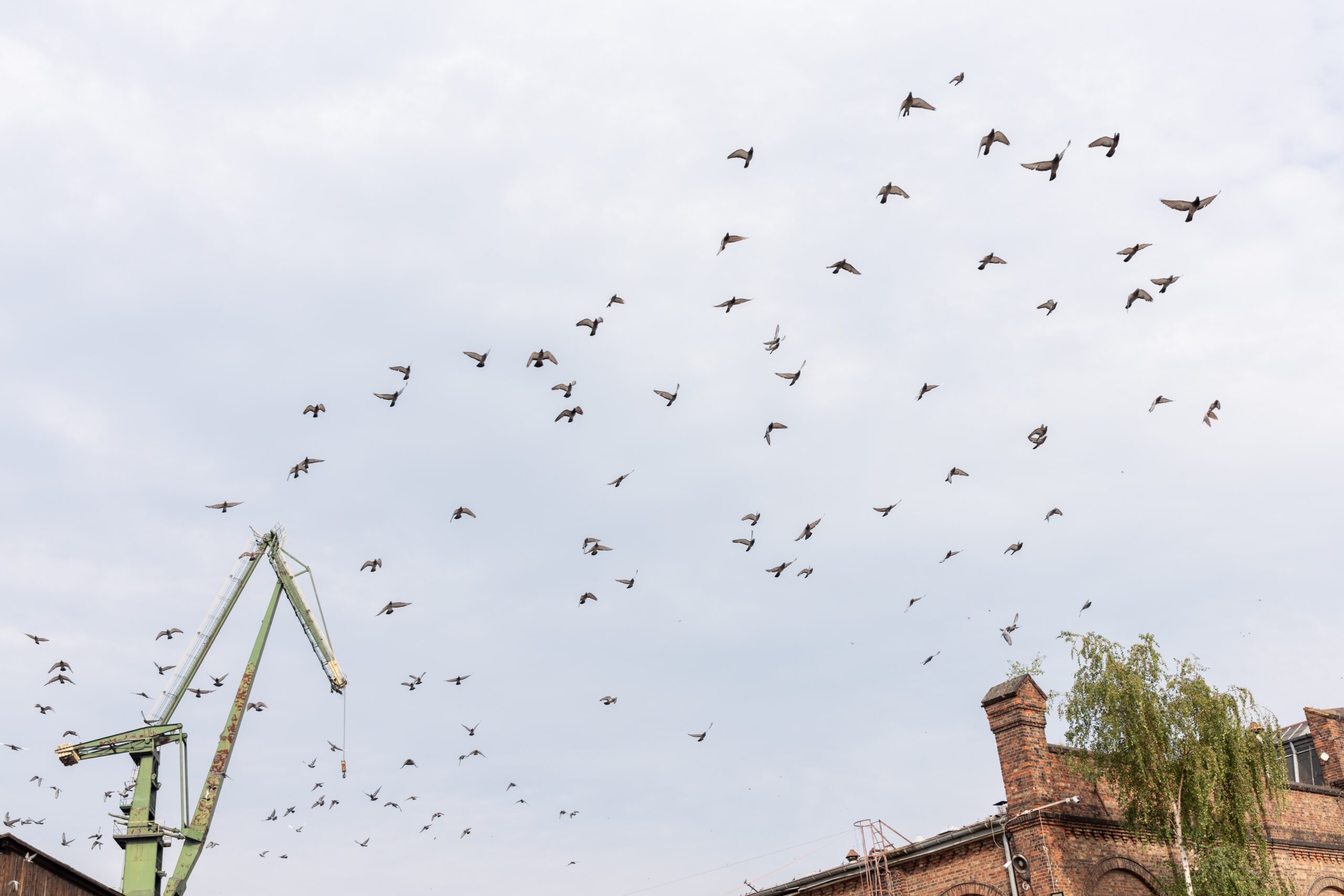 sony rx1riii sample 8 1 scaled