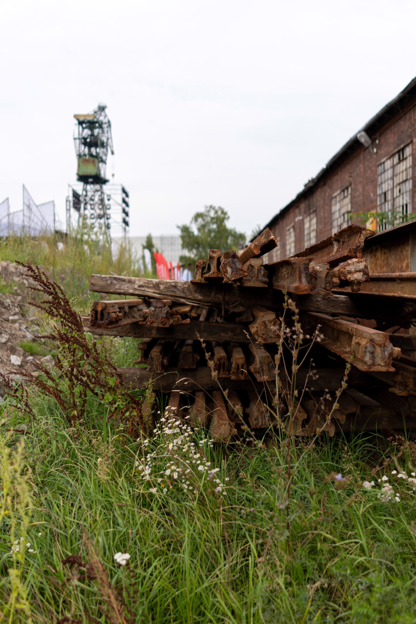 sony rx1riii sample 9 1 scaled