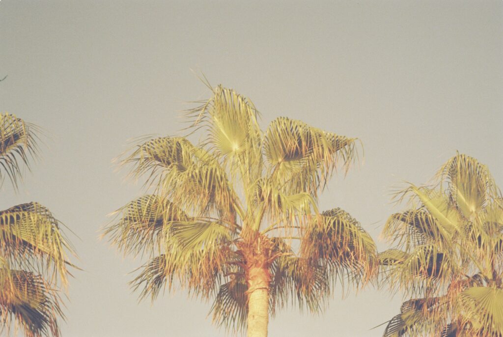 Wakacyjne testy Nikona TW20 AF i Dubblefilm Apollo 200 #analoglife 4 000058