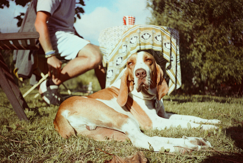 2025 08 11 VIE nil staff mca cn800 135 film 020