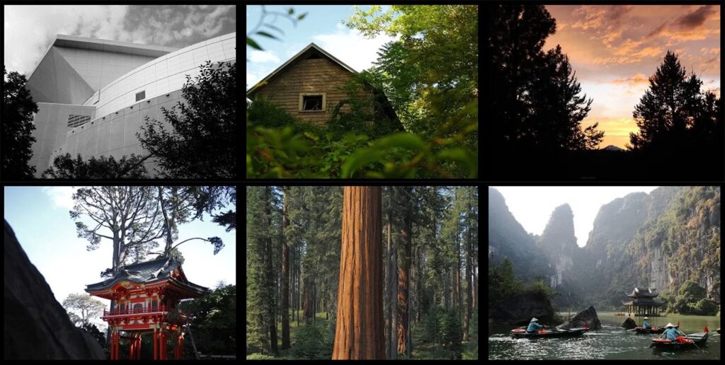 OM System OM-3 Recipes