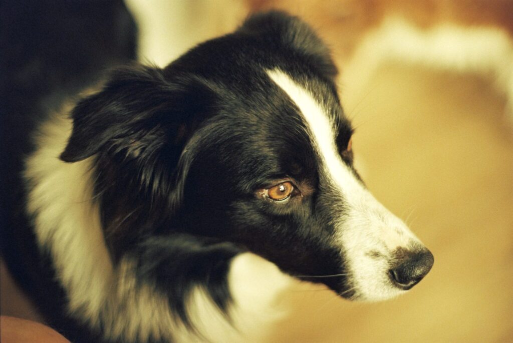 A000312 R1 00 1A 2048x1370 1