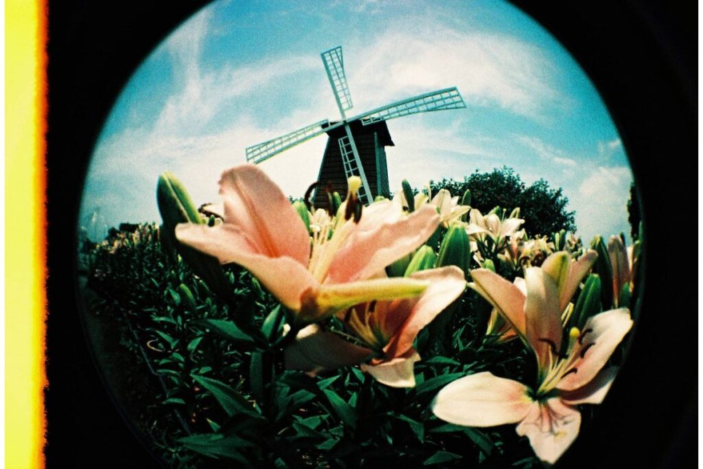 2021 05 31 ap blanche margaret t llanes fisheye 2 006
