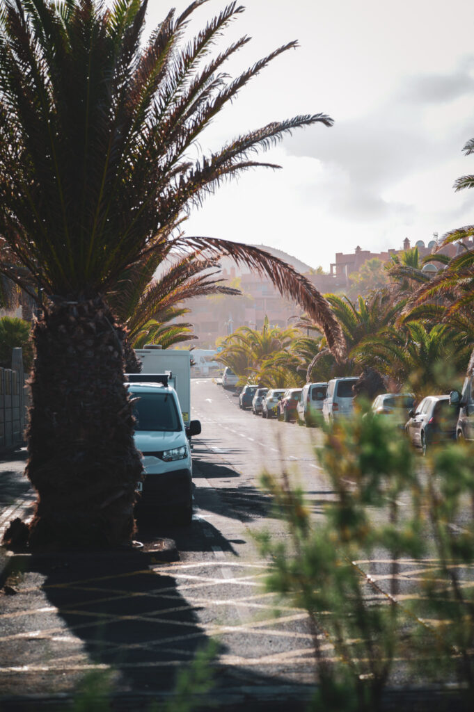 SDIM0438