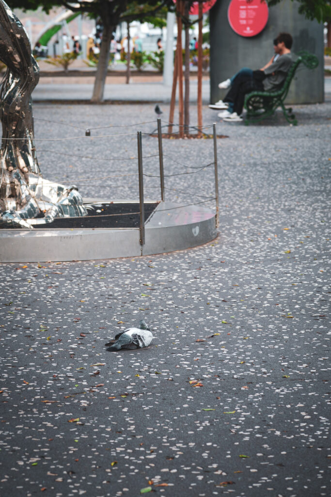 SDIM0471