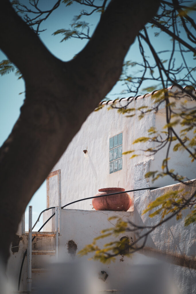 SDIM0746
