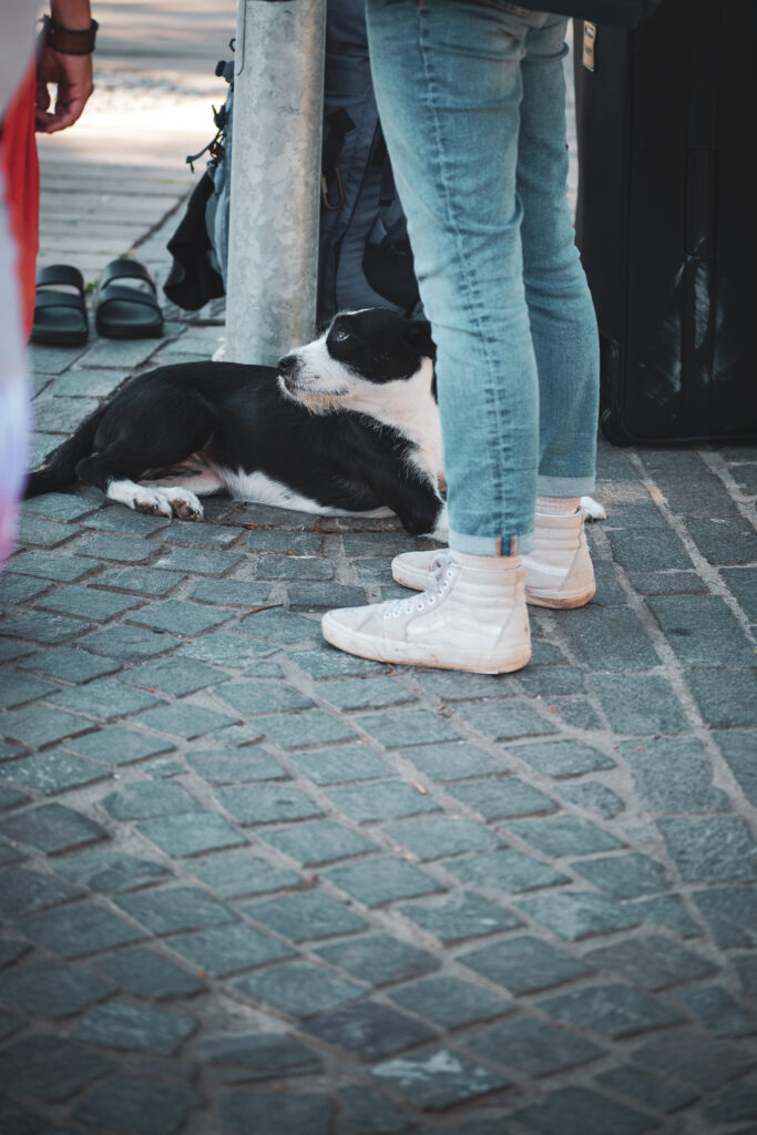 SDIM0749