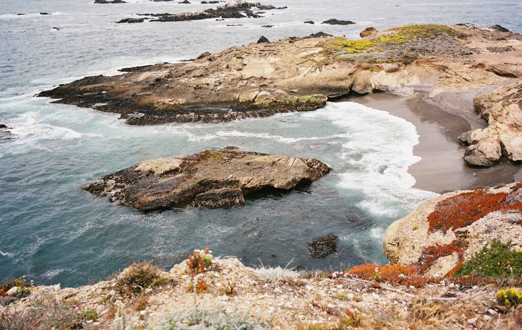 kodak ektacolor film pro 160 sample image cove