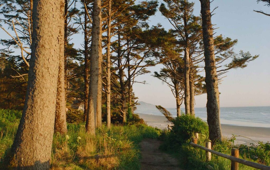 kodak ektacolor film pro 800 sample image pathway