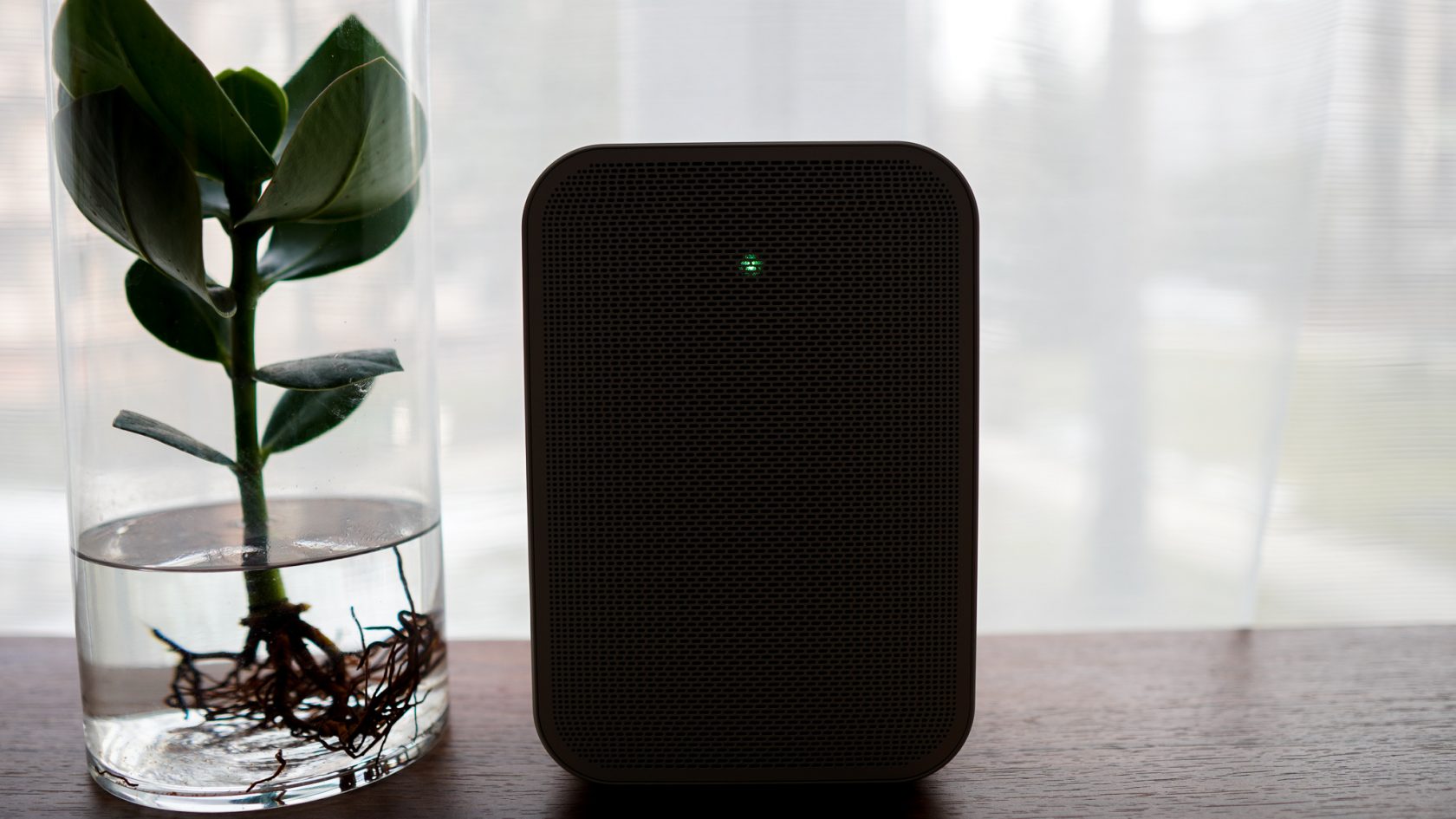 flex 2i | Author: Łukasz Krebok