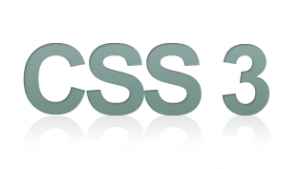 css3 logo