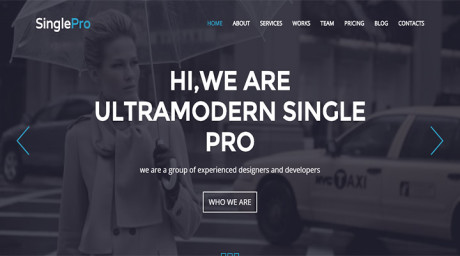 SinglePro-Free-Wordpress-Portfolio-Business-Them